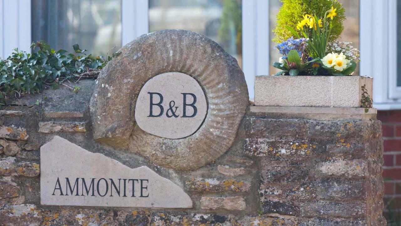 Ammonite Bed & Breakfast Корф-Касл Екстер'єр фото